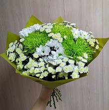 Букет цветов из:  Хризантемы #REPLACE_PRED# Тарычёво