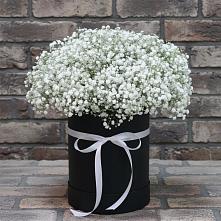 Цветочная композиция из Гипсофила в шляпной коробке в Тарычёво