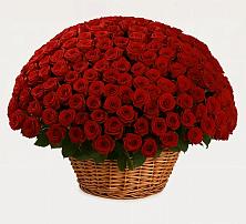 Премиум букет из: Розы в Тарычёво