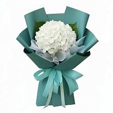 Букет цветов из:  Гортензия #REPLACE_PRED# Тарычёво